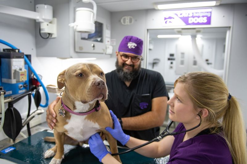 Ron Orchard and a colleague examine a dog.