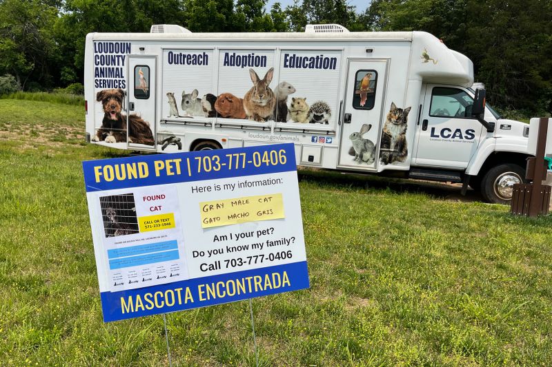 a found pet yard sign in front of an animal shelter transport van
