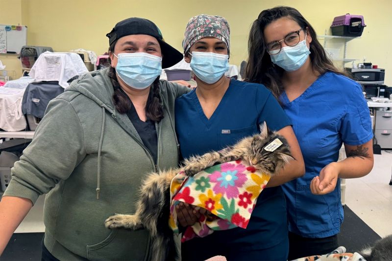 three women in surgical masks holding a recovering cat