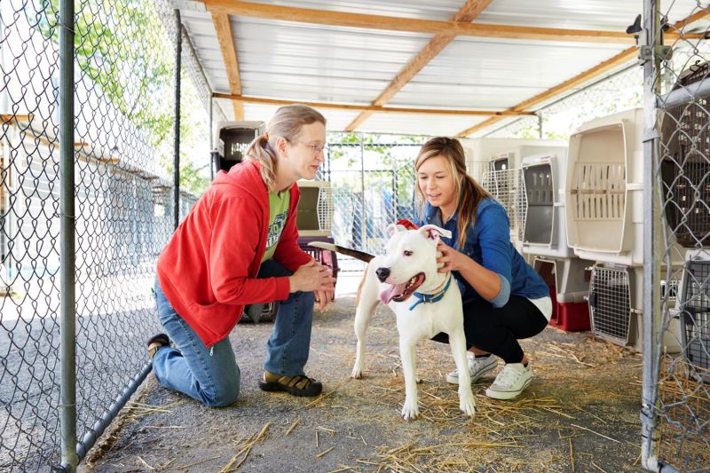 two women kneel alongside a dog in a kennel