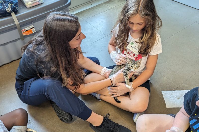 A humane educator at Camp Happy Tails helps a child hold a small kitten.