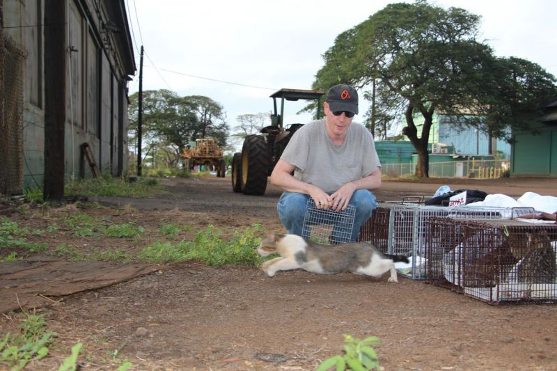 a man looks on as a cat flees an open trap