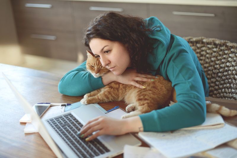 Sad woman hugging a cat while on her laptop computer.