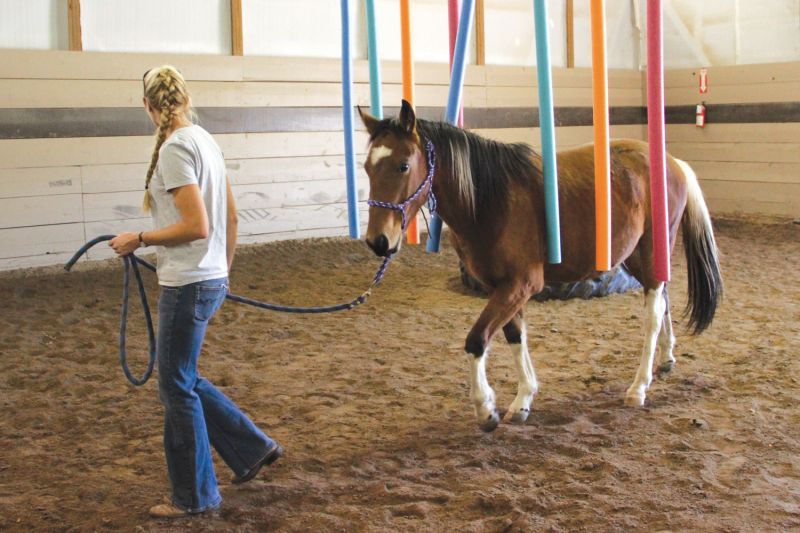 a woman guides a horse through a series of colored beams