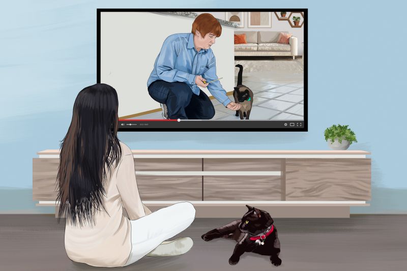 illustration of a woman and her cat watching a training video