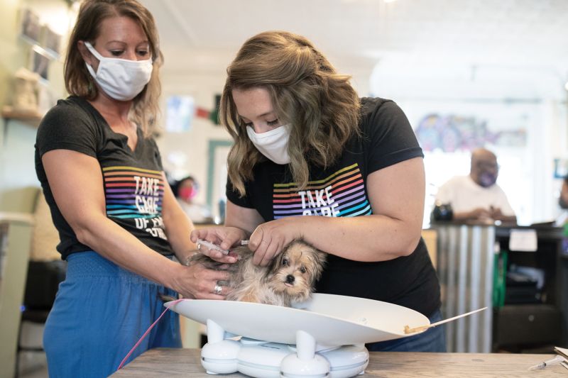 one woman holds a small dog on a scale with another administers a shot