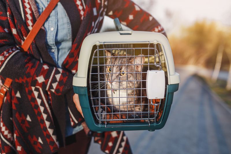 Woman carrying a pet carrier containing a cat.