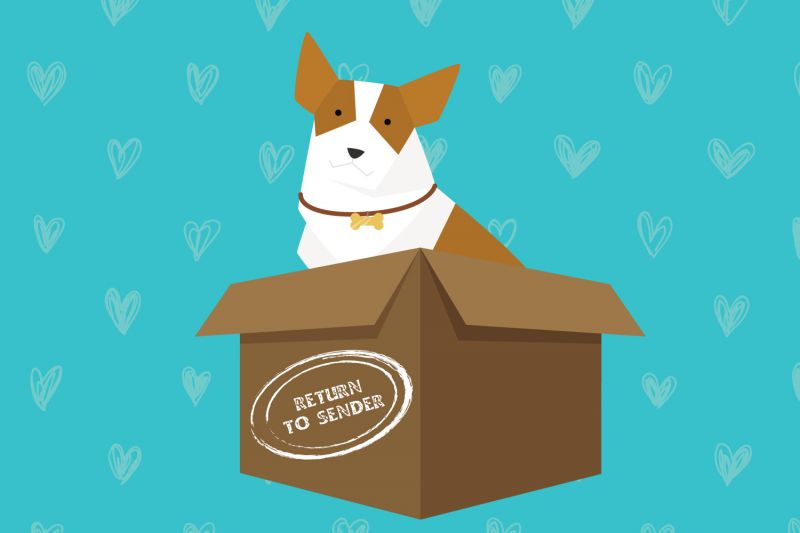 Illustration of a dog in a box marked return to sender