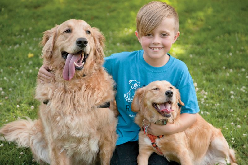 a boy kneeling with two dogs