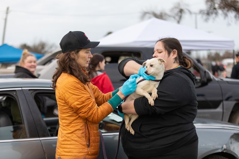 a woman vaccinates a dog being held by his owner at an outdoor event