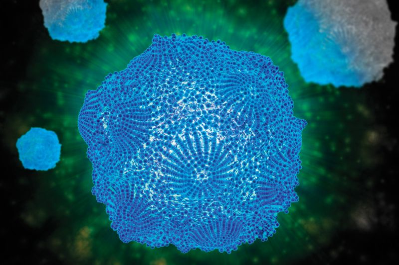 close up of parvovirus pathogen under a microscope