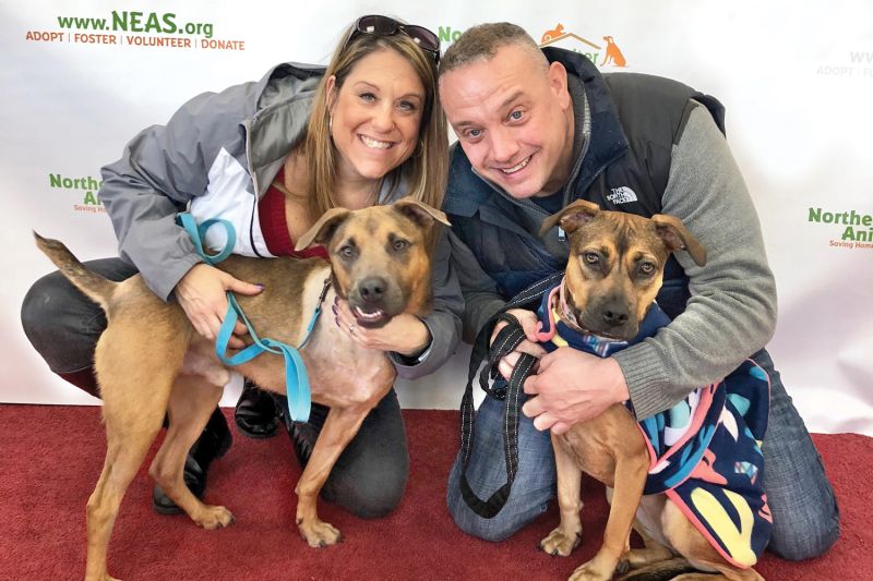 a man and woman kneel and pose with two dogs