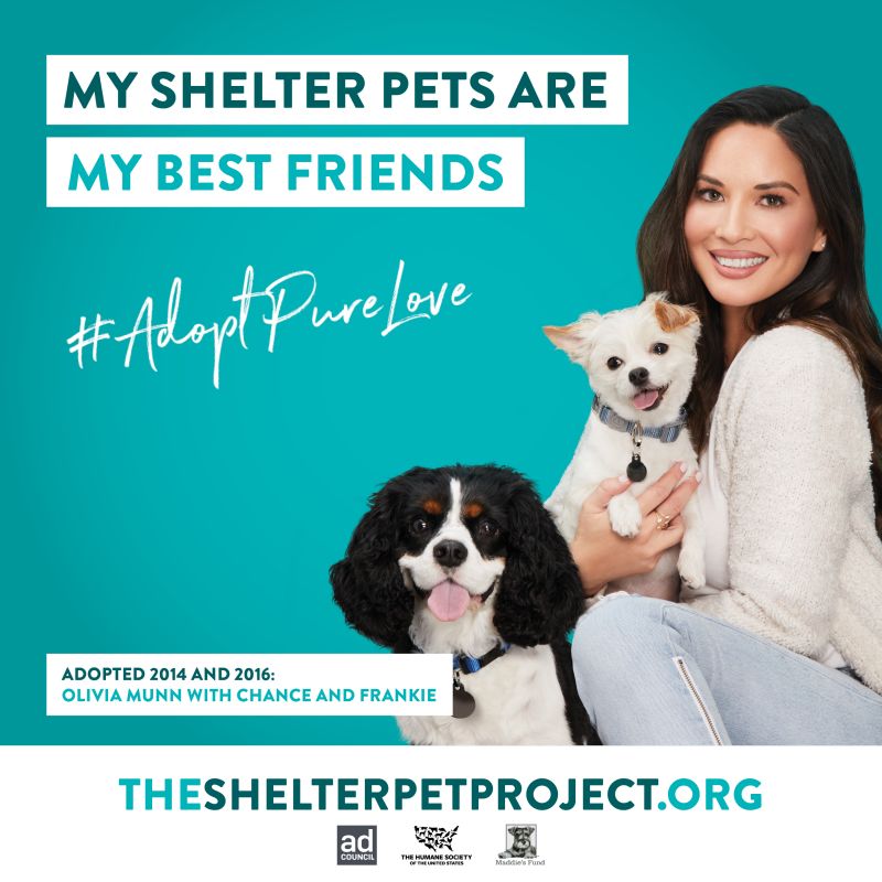 AdoptLove