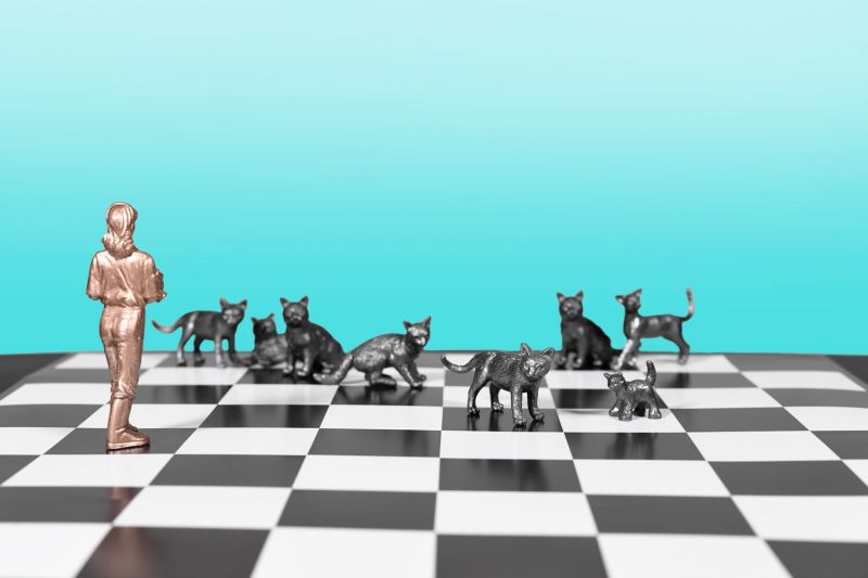 collage of a woman and a group of cats on a chessboard
