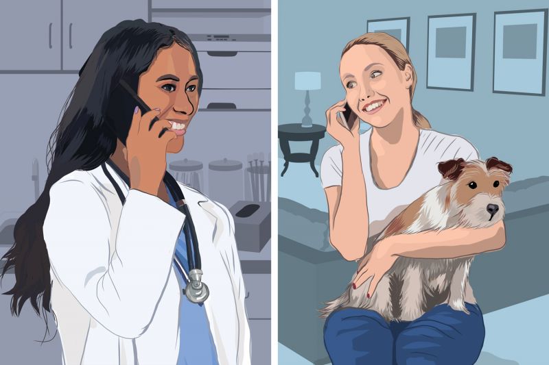 illustration of a woman talking to her veterinarian on the phone