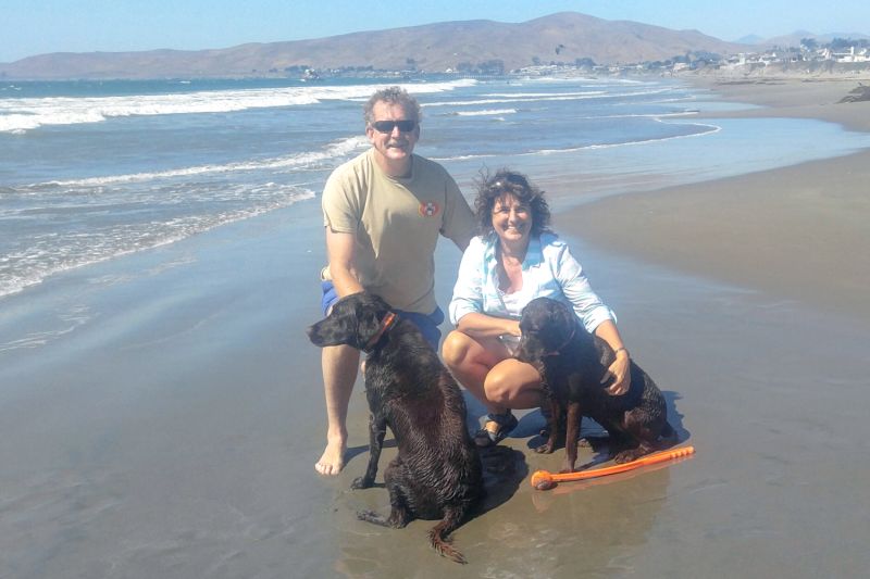 A couple and two dogs pose on a beach