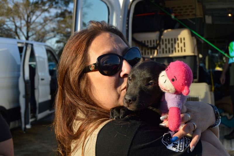 a woman kisses her puppy in front of a transport
