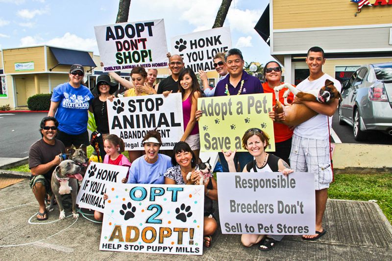 a group of people holding adoption signs 