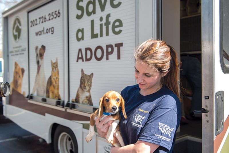 Transporting) across the divide | HumanePro by The Humane Society of the United  States