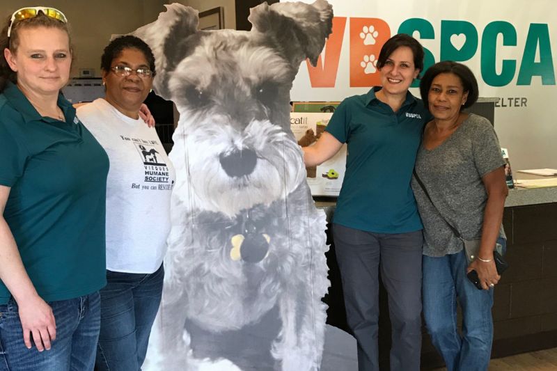 four women gathered around a large cardboard cutout of a dog