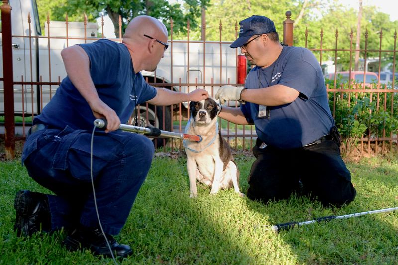 two men demonstrate how to use a control pole on a dog