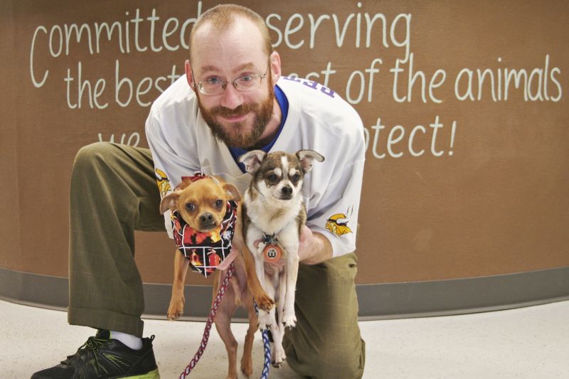 a man kneels and holds up two small dogs