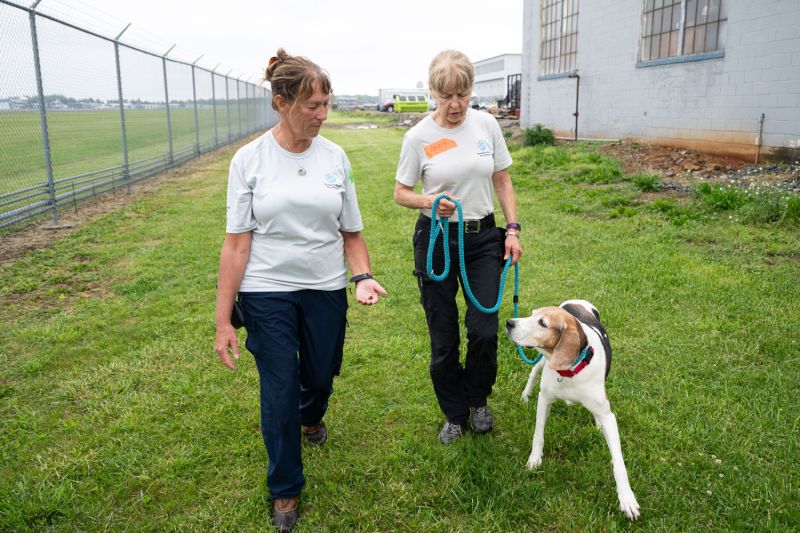 two women walking a dog