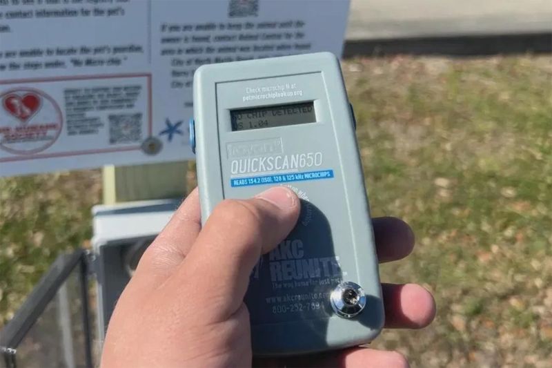 a person presses a button on a scanning device