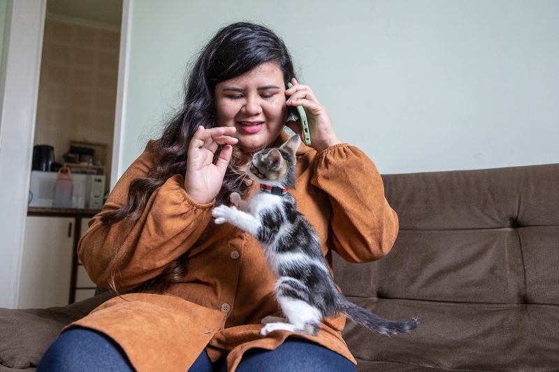 a young woman on her phone plays with a kitten on her lap