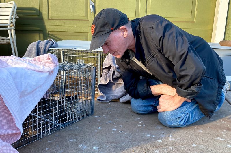 a man kneels in front of a cat in a humane trap