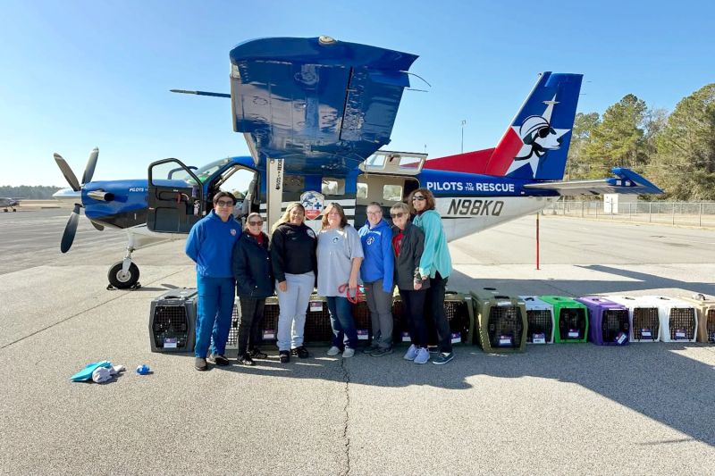 a group of people posing next to a plane with pet carriers