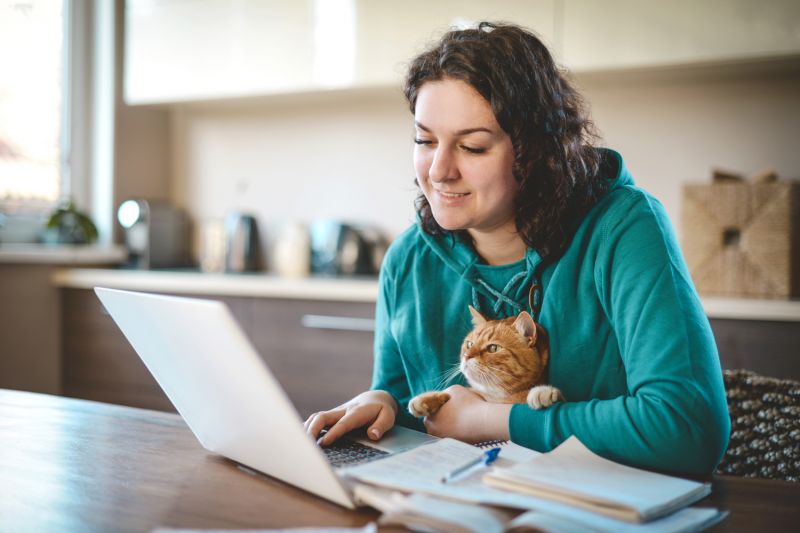 a woman holding a cat on her lap while looking at her laptop