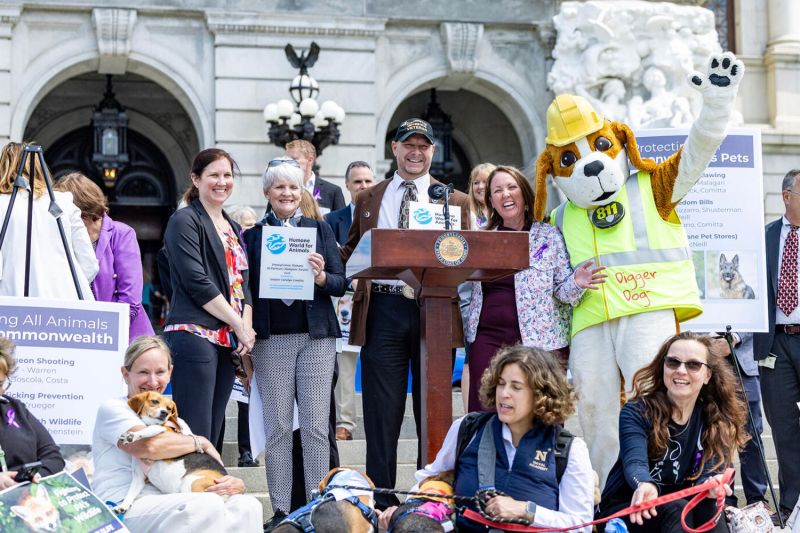 a group of people and animals gathered around a podium