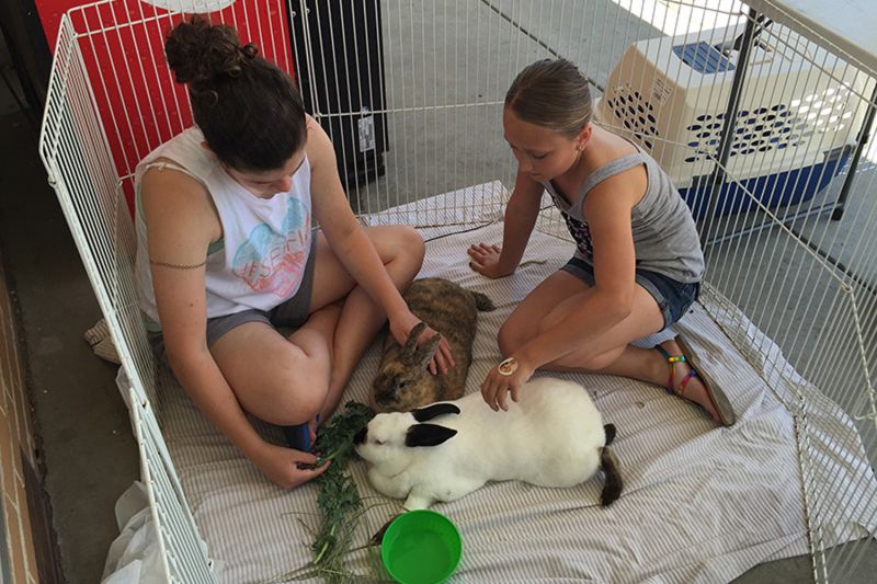 two girls sit inside an enclosure with two rabbits