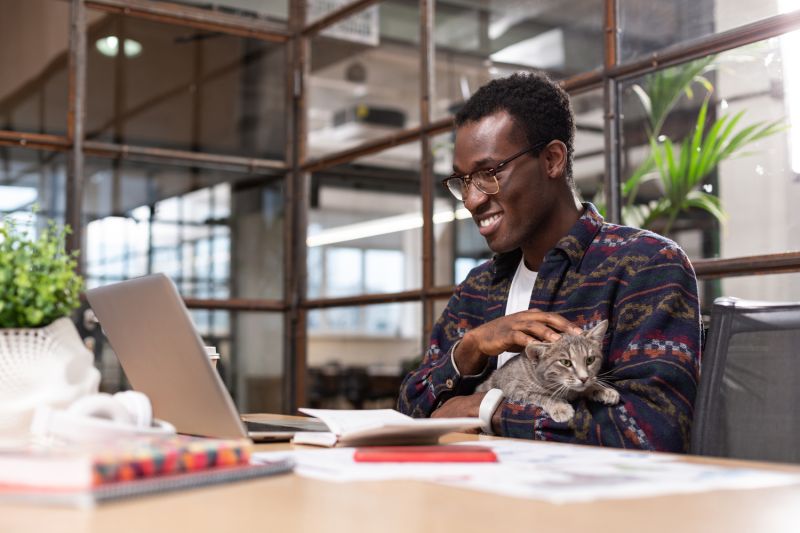 a man smiling at his laptop screen while petting a cat