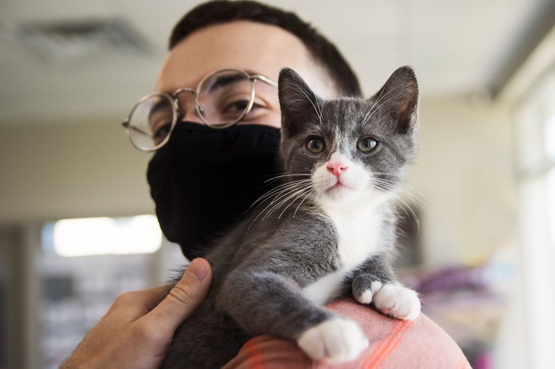 Man wearing a protective mask, holding a gray and white cat