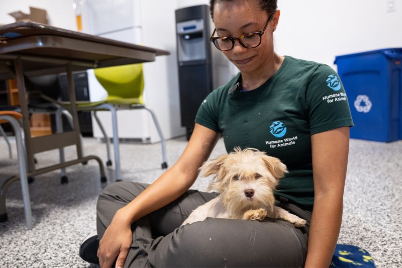 a woman sits with a small dog on her lap
