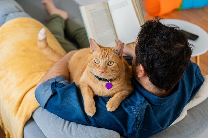 Man sitting on a couch reading a book with his cat on his shoulder.