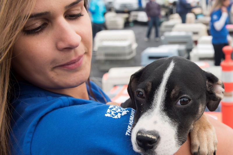 Woman holding dog