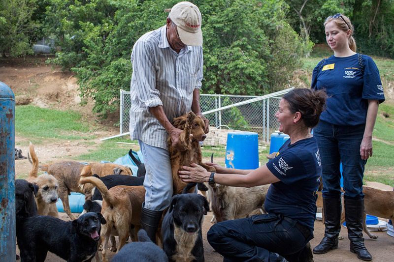 two women and a man examine a pack of dogs