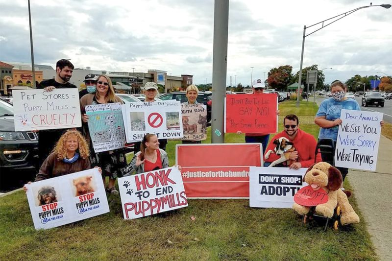 a group of people gathered with signs to end puppy mills