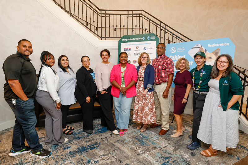 a diverse group of people posing in front of a staircase