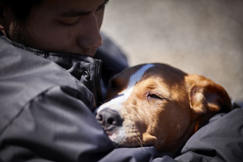 a woman gazes at a dog she's holding