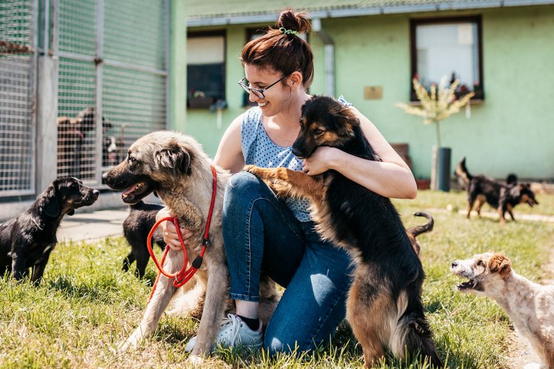 Woman outside with dogs at a shelter