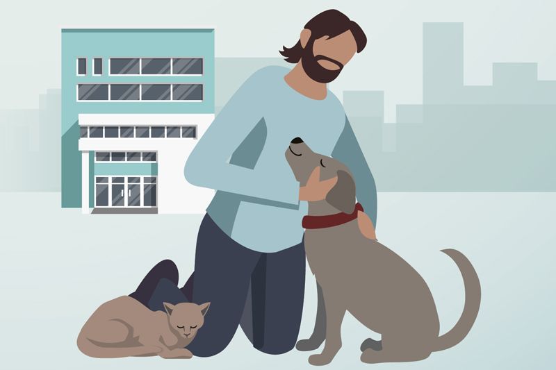 illustration of a man reunited with his dog and cat outside a building