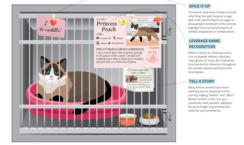 illustration of a cat with a kennel card attached to its cage