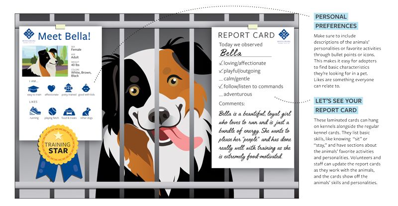 illustration of a dog with a kennel card and report card
