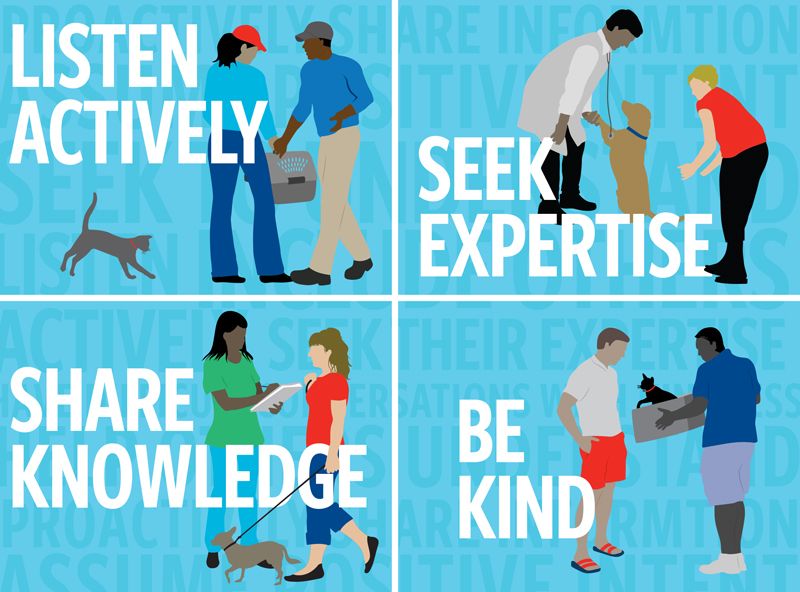 a collage that says listen actively, seek expertise, share knowledge, and be kind