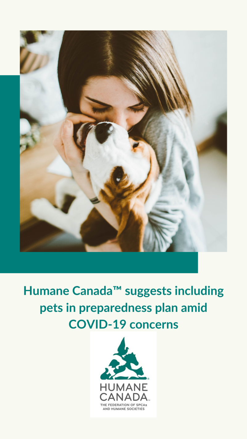 humane canada suggests including pets in preparedness plan amid covid 19 concerns