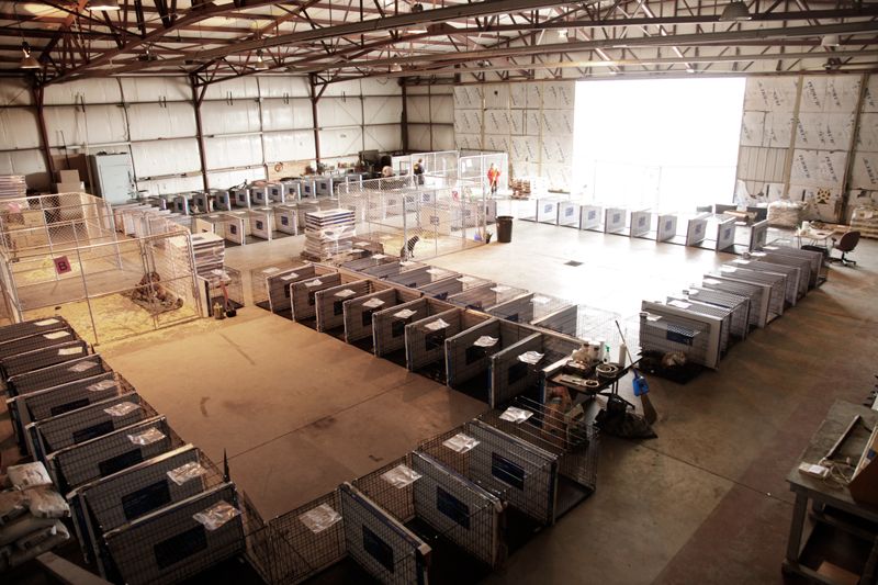 a series of kennels organized on a warehouse floor